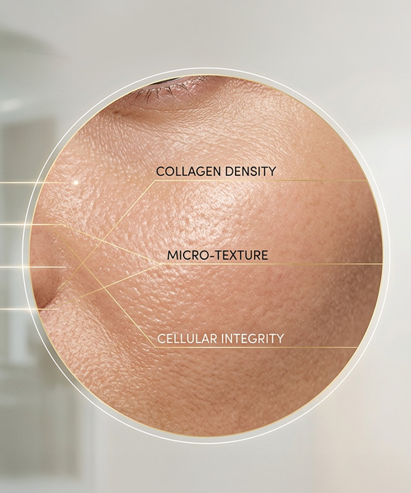 Free Skin Consultation process